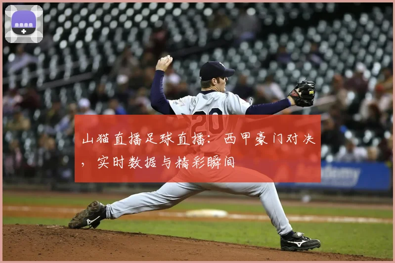 山猫直播足球直播：西甲豪门对决，实时数据与精彩瞬间